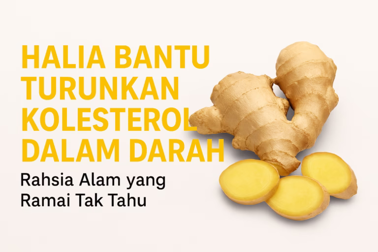 Halia Bantu Turunkan Paras Kolesterol – Rahsia Alam yang Ramai Tak Tahu